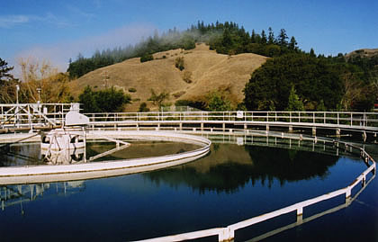 alternative text for image